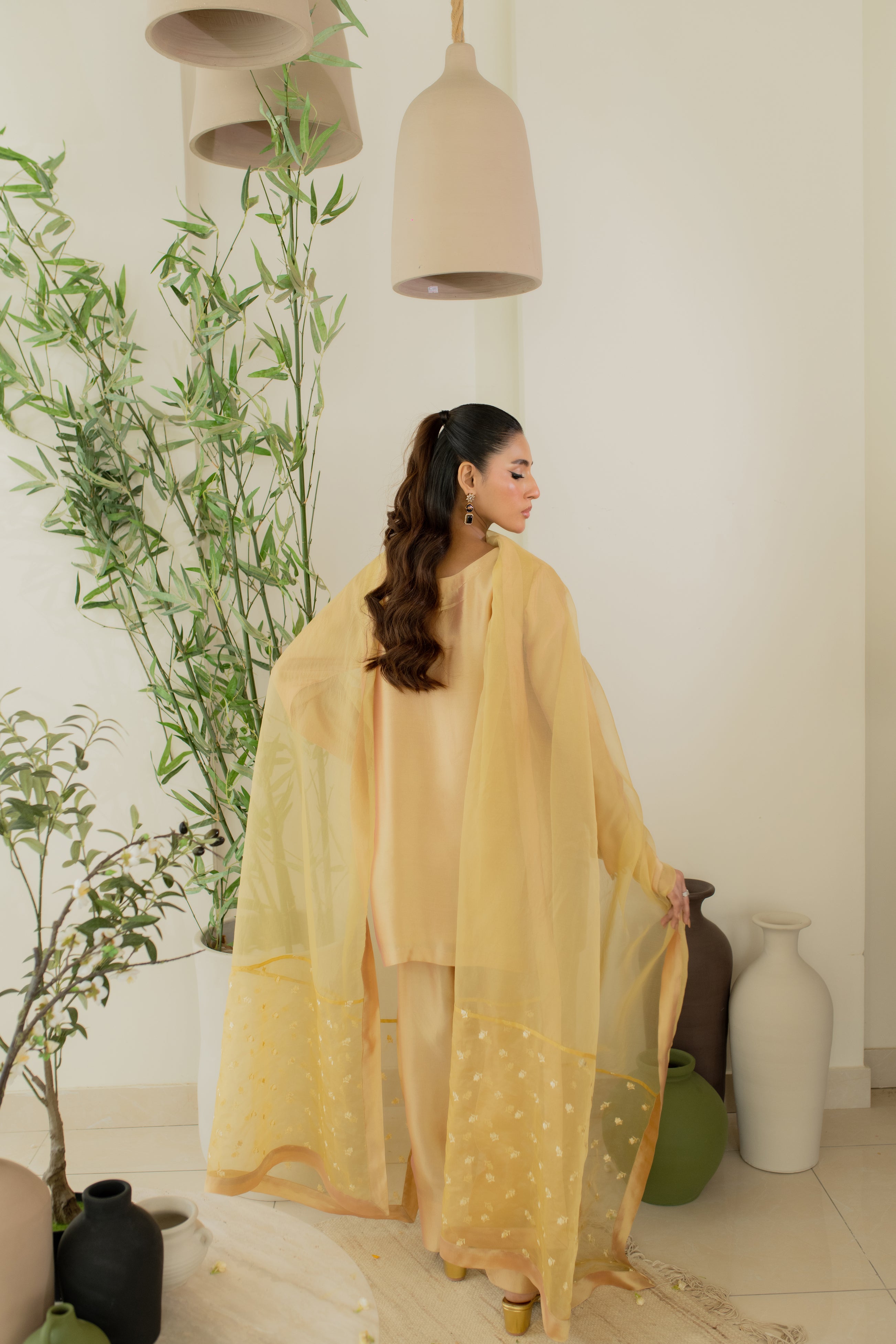 pakistani dresses
pakistani clothes
organza duppata
farshi shalwar
shalwar kameez
solids
classics
golden
eid inspo
eid outfit
eid2025
what to wear on eid 